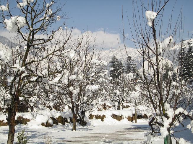 فندق Treebo Trend Celebriti Manali Vashist المظهر الخارجي الصورة