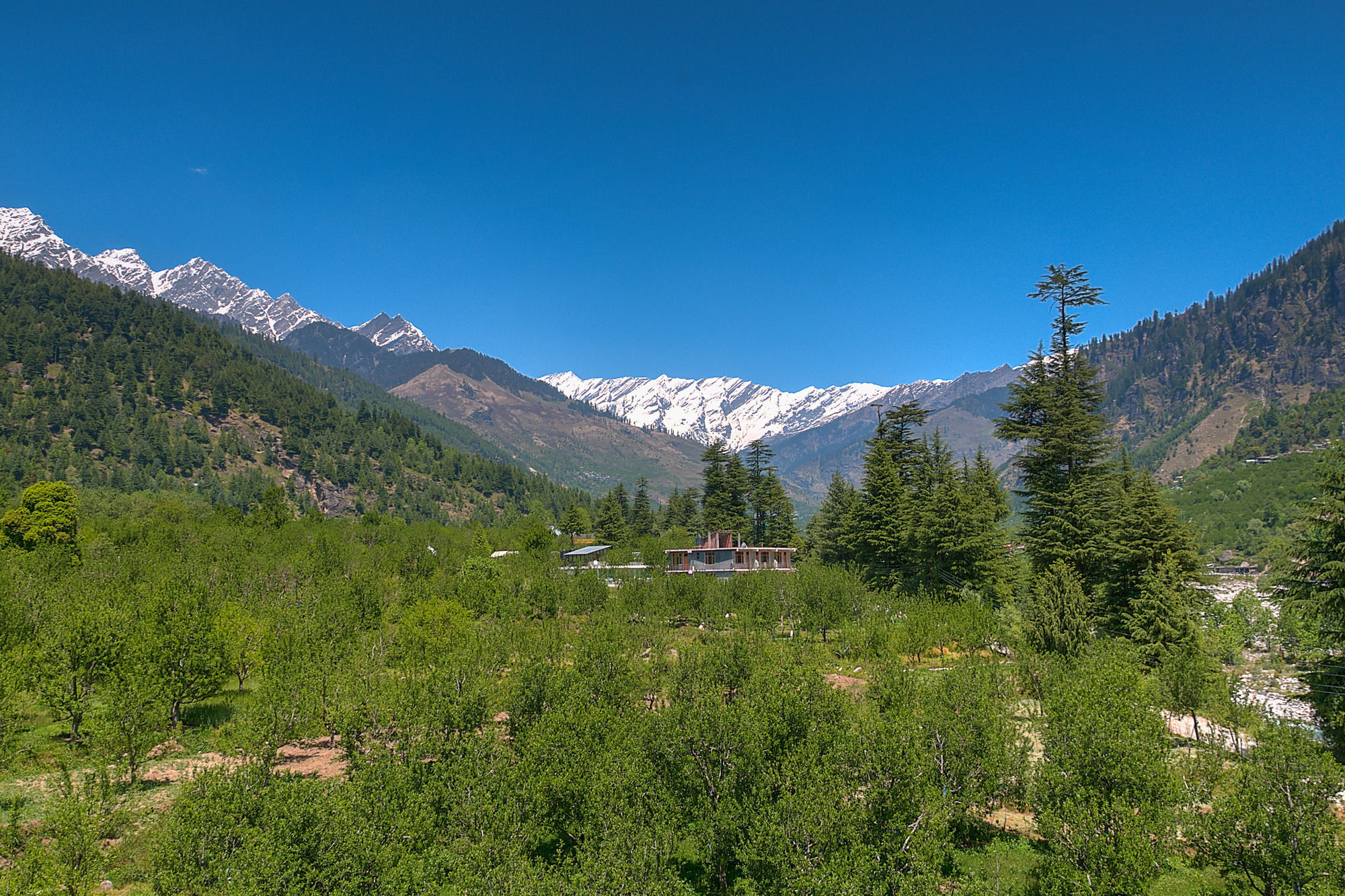 فندق Treebo Trend Celebriti Manali Vashist المظهر الخارجي الصورة
